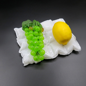 Paquete de gel de hielo seco Envío Entrega Comida Paquete de hielo seco Hoja para el transporte de alimentos perecederos