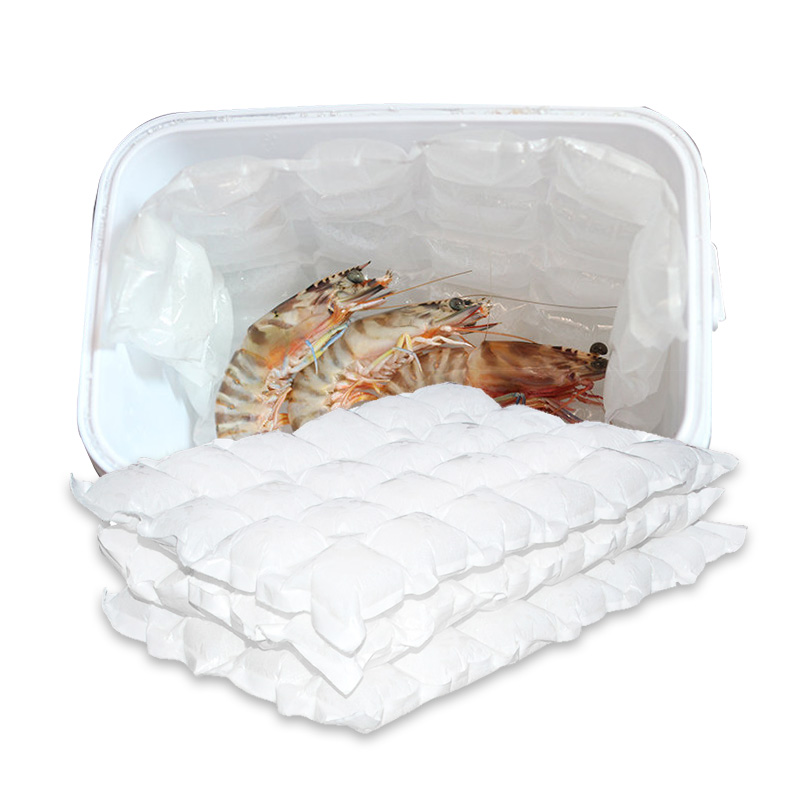 Paquete de hielo desechable personalizado de la caja del almuerzo del bolso del refrigerador